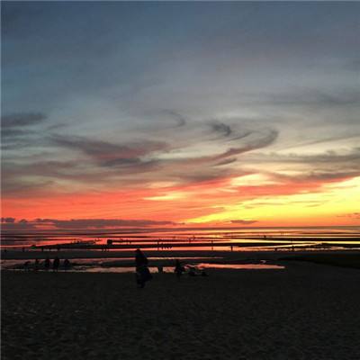 博鱼·综合截图